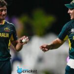 Australia vs Oman, T20 World Cup 2024, Highlights: Marcus Stoinis' All-Round Show Propels Australia To Big Win Over Oman